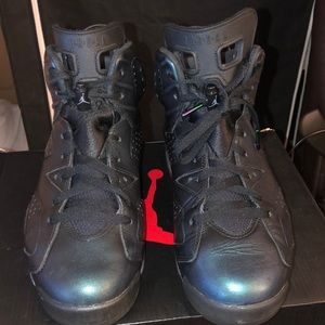 Jordan 6 retro Chameleon